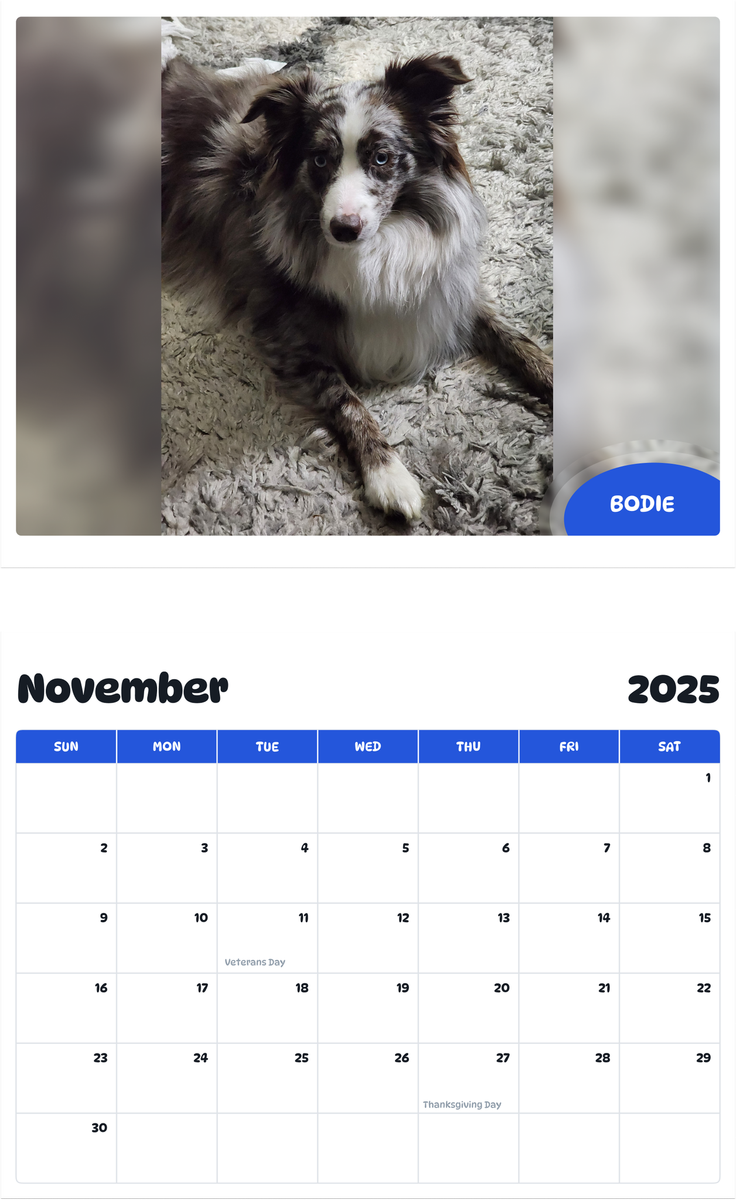 July 2025 - June 2026 Bodie - Pawidols Pet Calendar