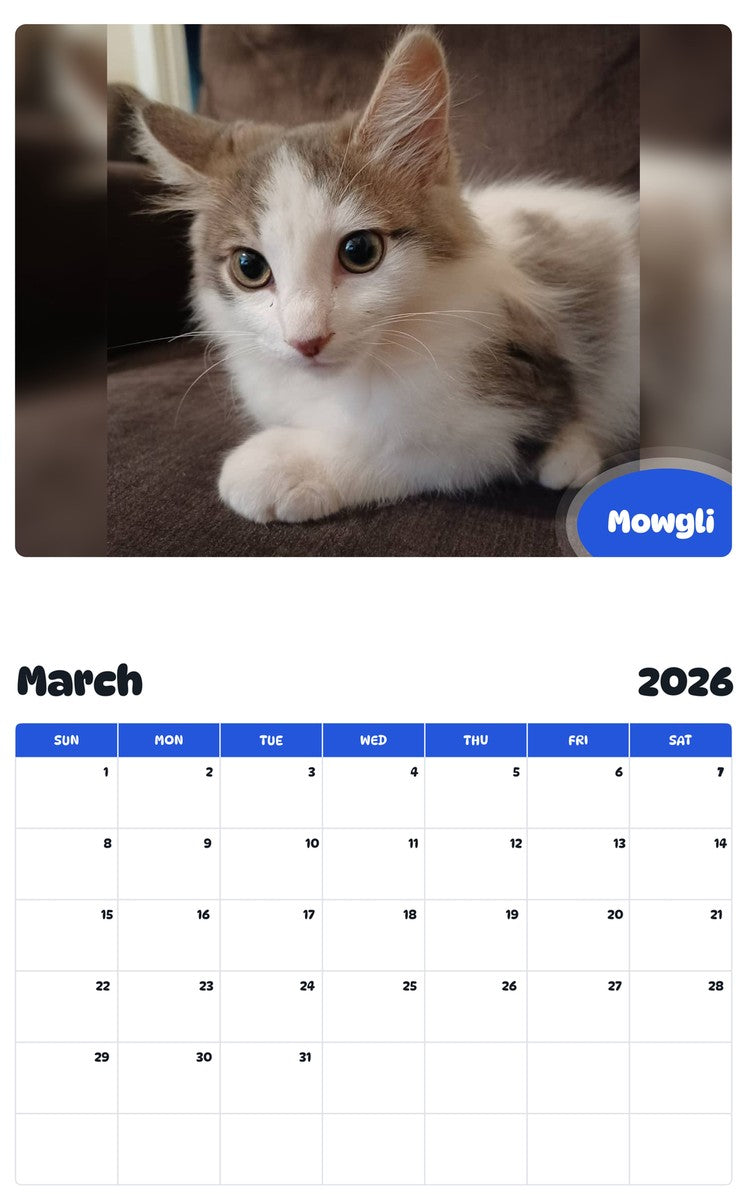 November 2025 - October 2026 Mowgli - Pawidols Pet Calendar
