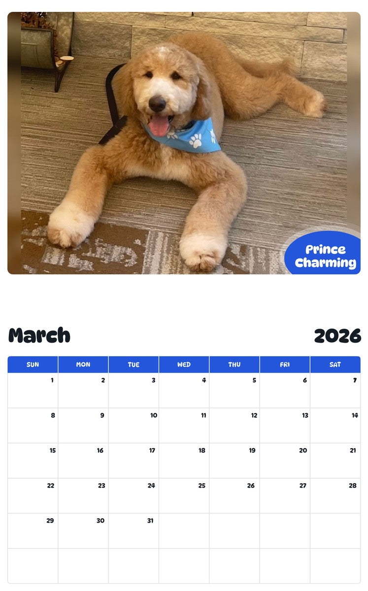 November 2025 - October 2026 Prince Charming - Pawidols Pet Calendar