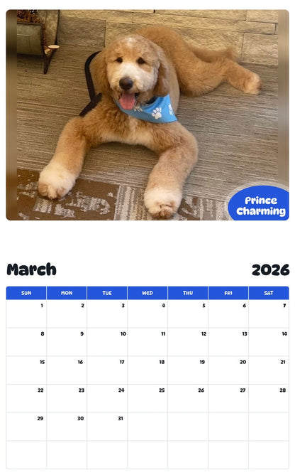 November 2025 - October 2026 Prince Charming - Pawidols Pet Calendar