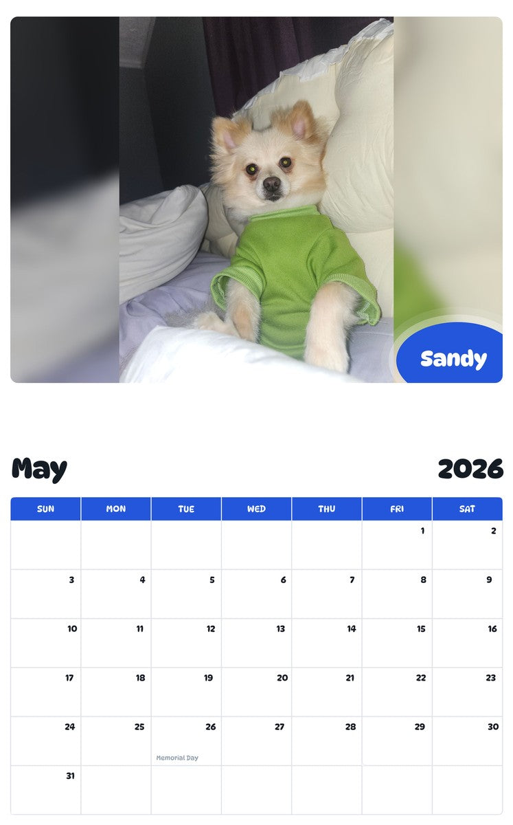 2026 - 2027 Sandy - Pawidols Pet Calendar