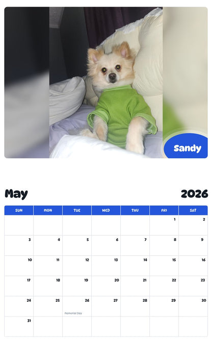 2026 - 2027 Sandy - Pawidols Pet Calendar