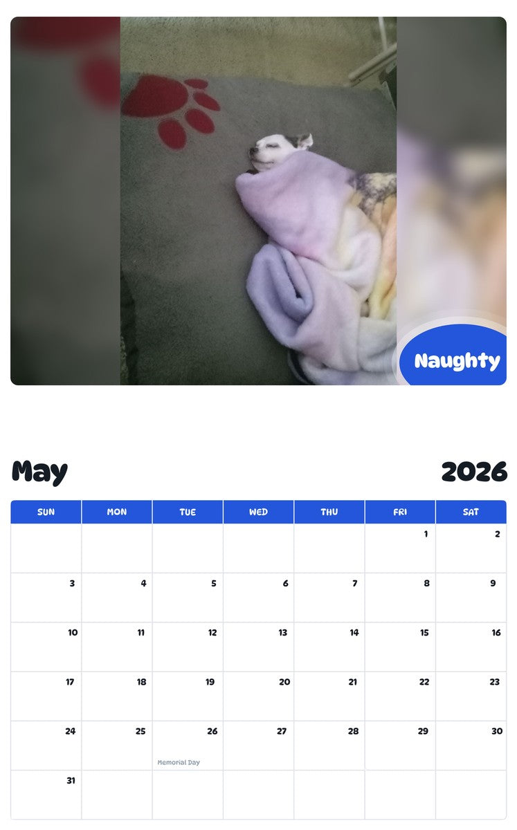 2026 - 2027 Naughty - Pawidols Pet Calendar