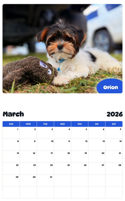 November 2025 - October 2026 Orion - Pawidols Pet Calendar
