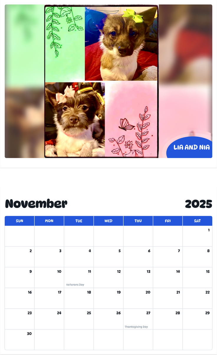 July 2025 - June 2026 Lia and Nia - Pawidols Pet Calendar