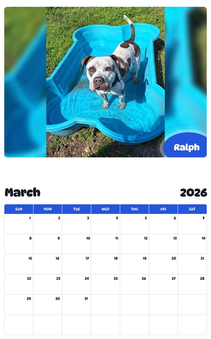 November 2025 - October 2026 Ralph - Pawidols Pet Calendar