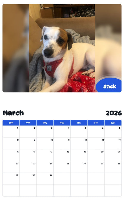 November 2025 - October 2026 Jack - Pawidols Pet Calendar
