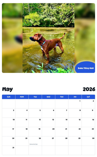 2026 - 2027 Duke Tilley Hall - Pawidols Pet Calendar