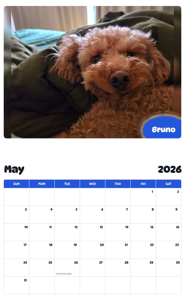 2026 - 2027 Bruno - Pawidols Pet Calendar