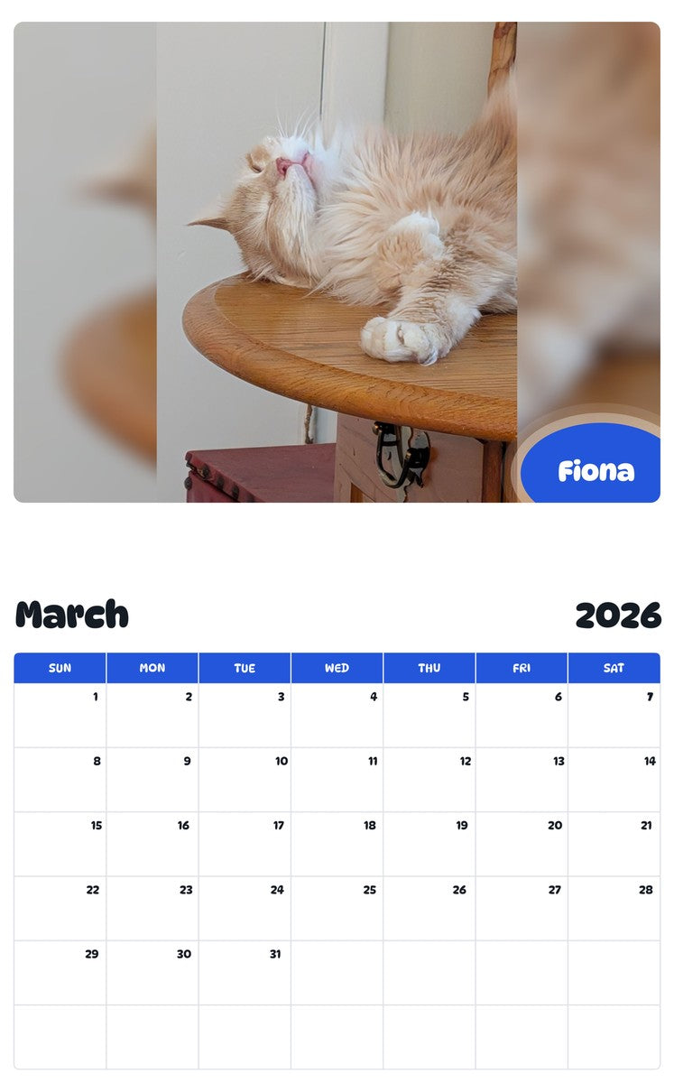 November 2025 - October 2026 Fiona - Pawidols Pet Calendar