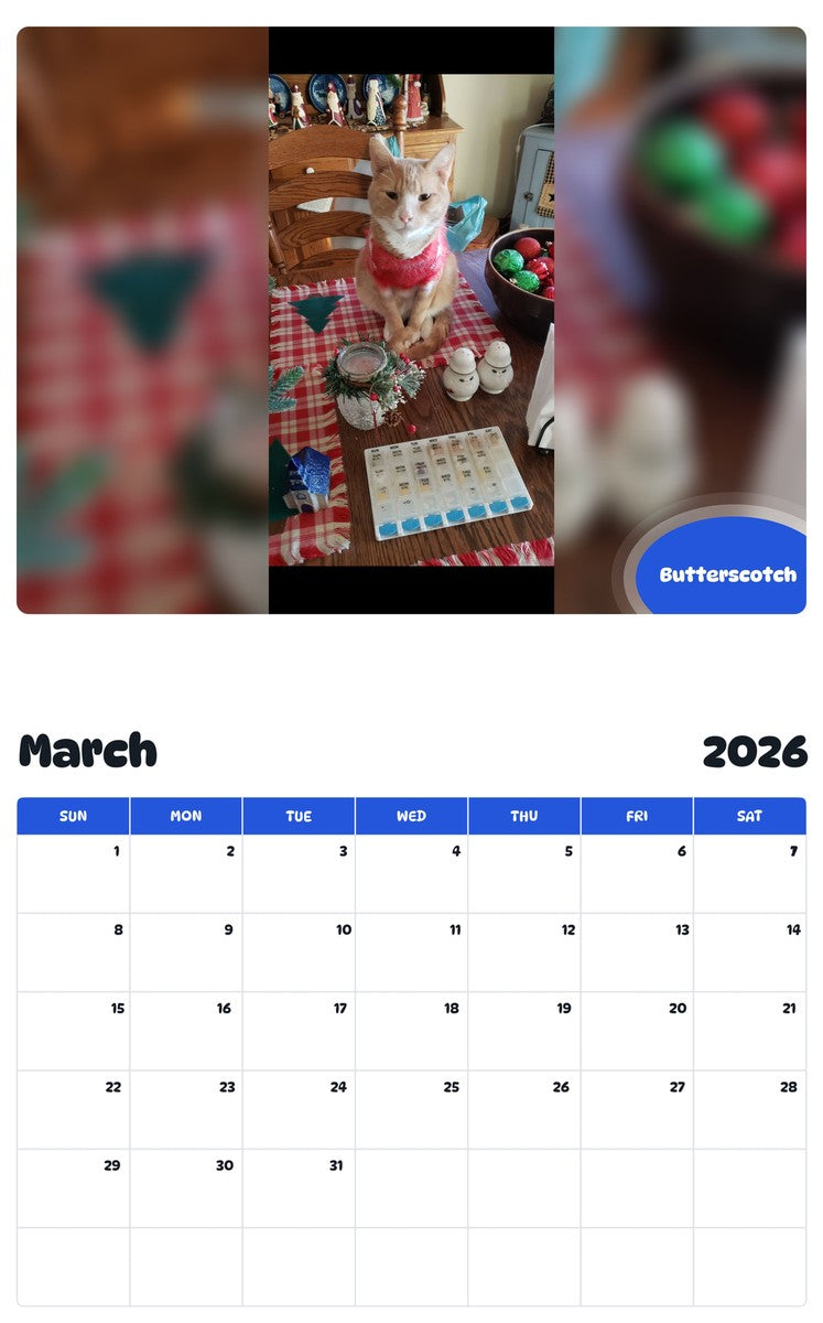 November 2025 - October 2026 Butterscotch - Pawidols Pet Calendar