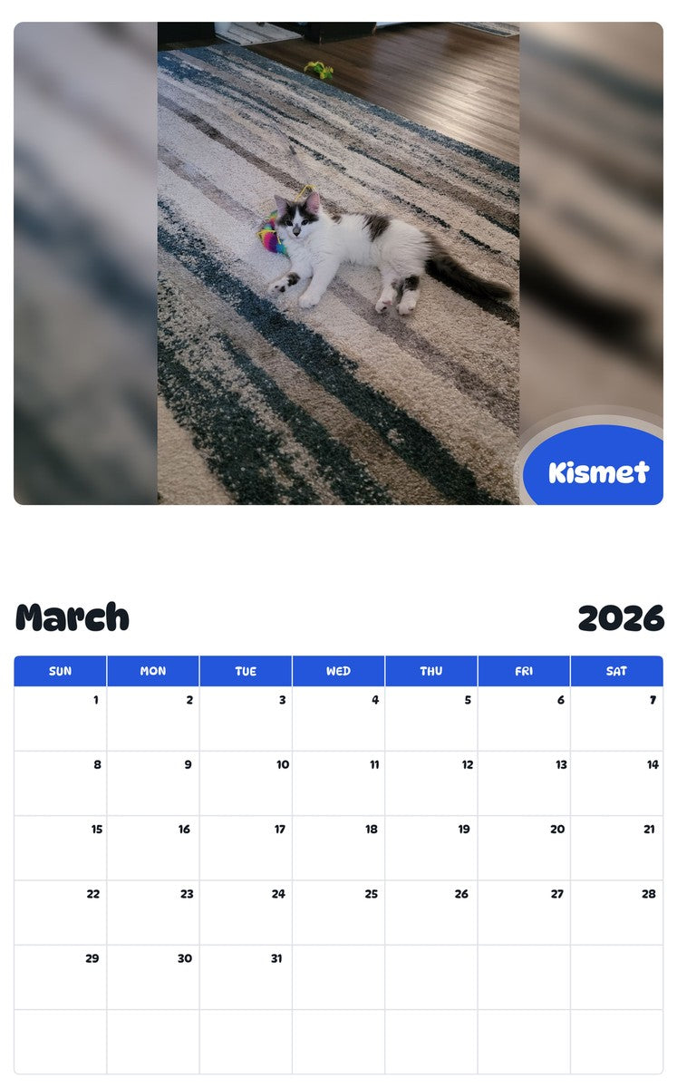 November 2025 - October 2026 Kismet - Pawidols Pet Calendar