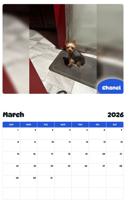 November 2025 - October 2026 Chanel - Pawidols Pet Calendar