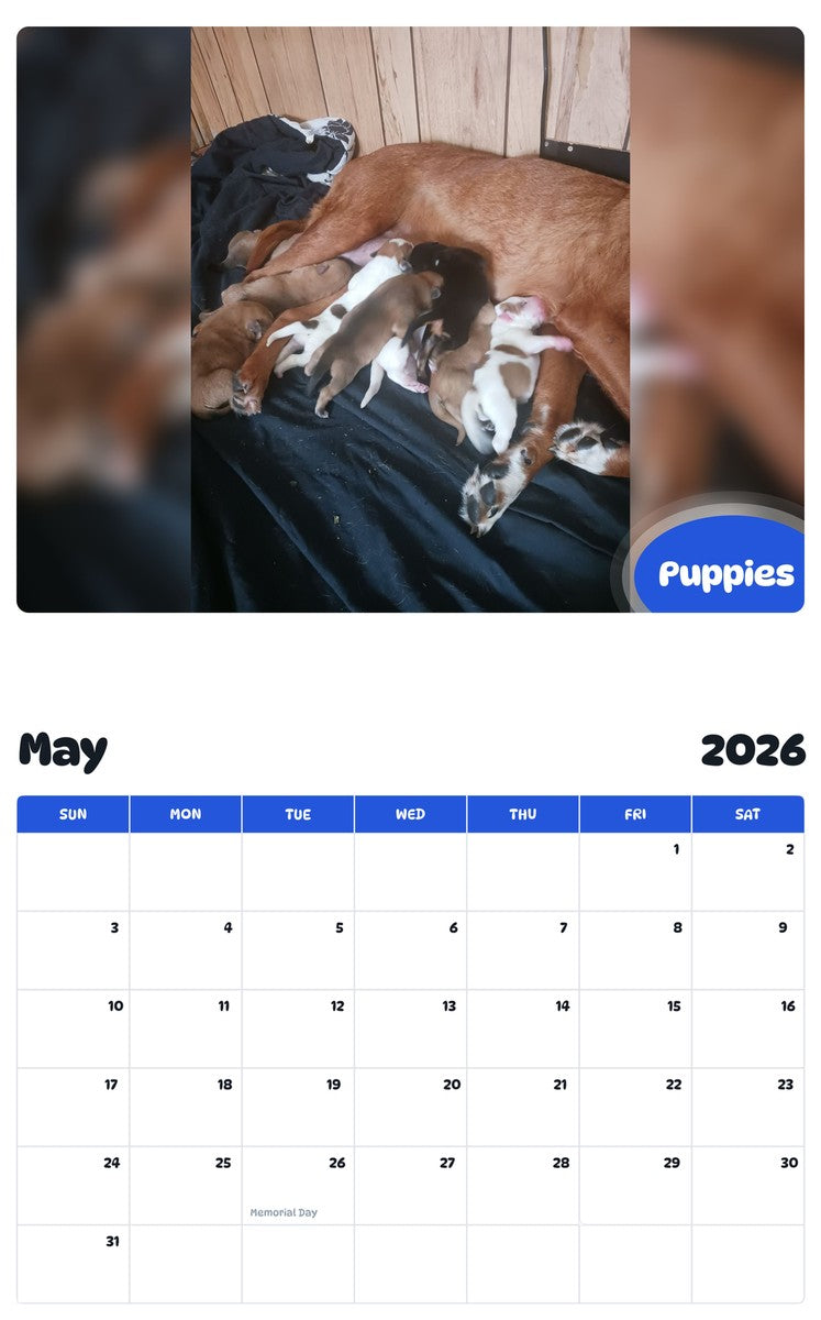 2026 - 2027 Puppies - Pawidols Pet Calendar