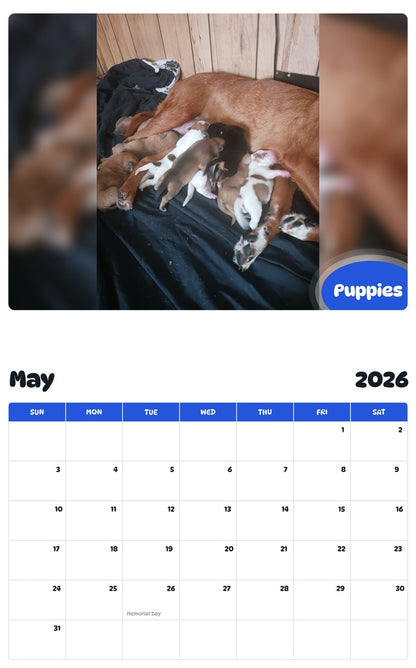 2026 - 2027 Puppies - Pawidols Pet Calendar