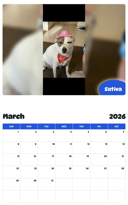 November 2025 - October 2026 Sativa - Pawidols Pet Calendar