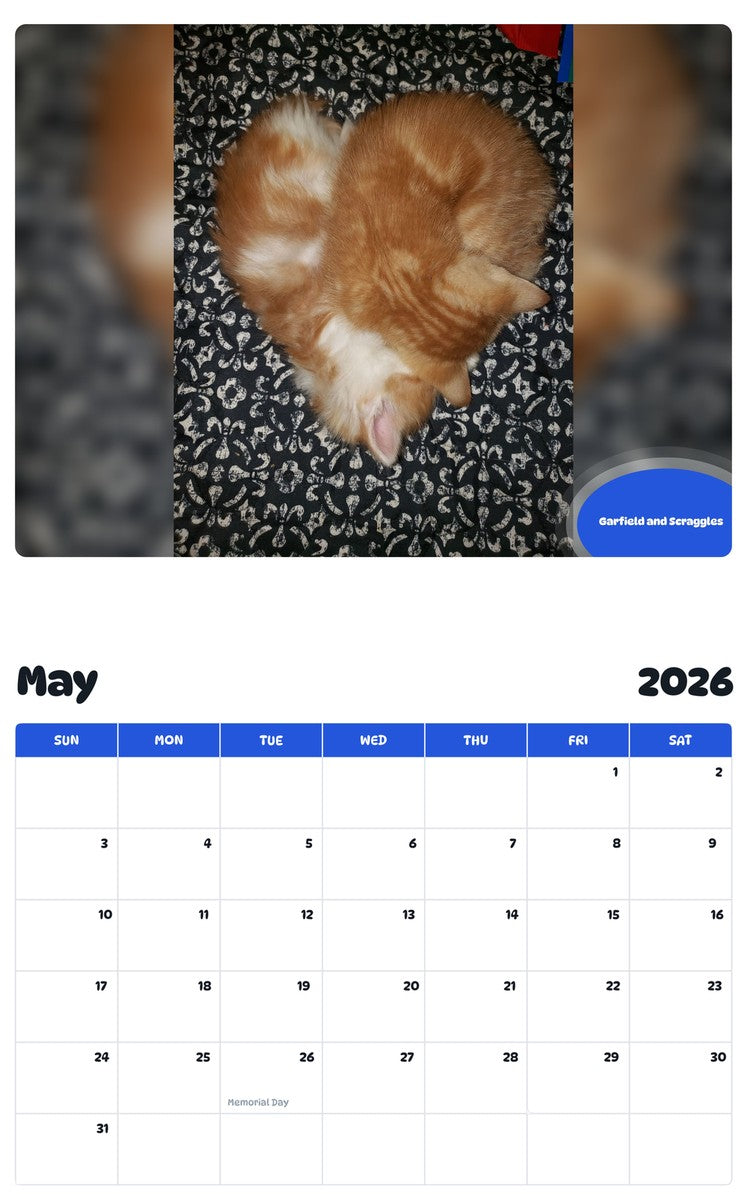2026 - 2027 Garfield and Scraggles - Pawidols Pet Calendar