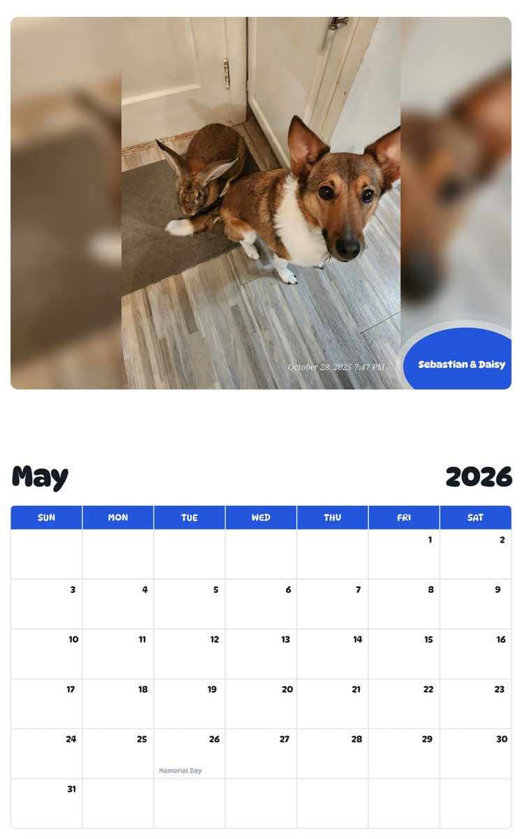 2026 - 2027 Sebastian & Daisy - Pawidols Pet Calendar
