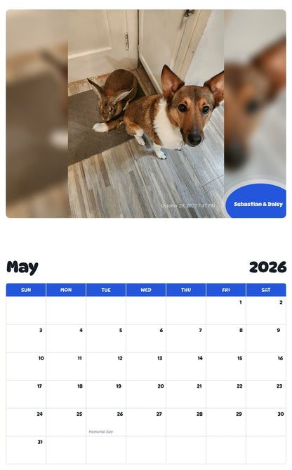 2026 - 2027 Sebastian & Daisy - Pawidols Pet Calendar