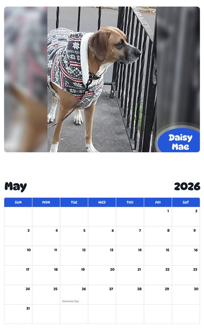 2026 - 2027 Daisy Mae - Pawidols Pet Calendar