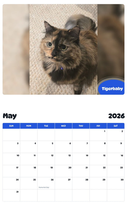 2026 - 2027 Tigerbaby - Pawidols Pet Calendar