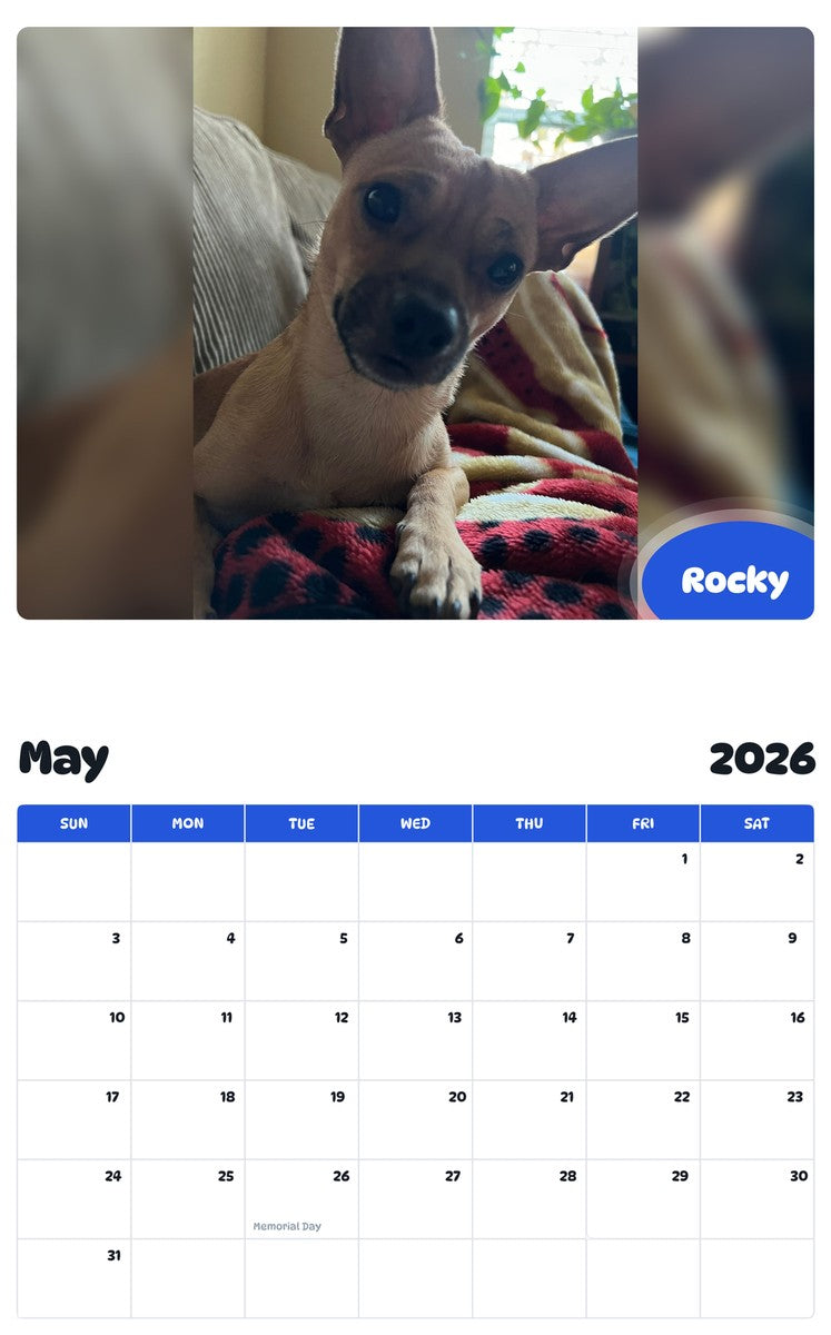 2026 - 2027 Rocky - Pawidols Pet Calendar