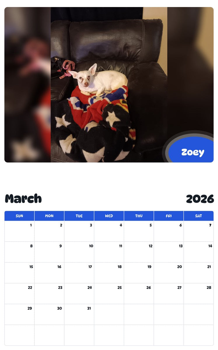 November 2025 - October 2026 Zoey - Pawidols Pet Calendar