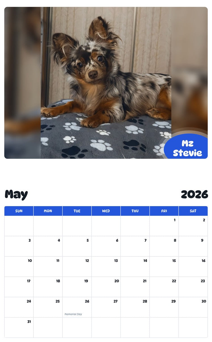 2026 - 2027 Mz Stevie - Pawidols Pet Calendar