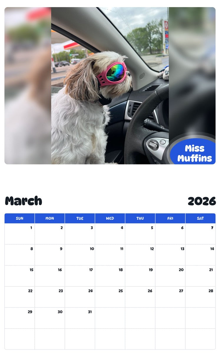 November 2025 - October 2026 Miss Muffins - Pawidols Pet Calendar