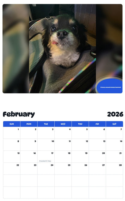 October 2025 - September 2026 Princess consuela banana hammock - Pawidols Pet Calendar