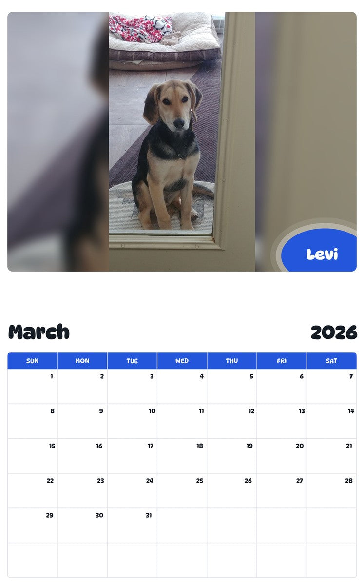November 2025 - October 2026 Levi - Pawidols Pet Calendar