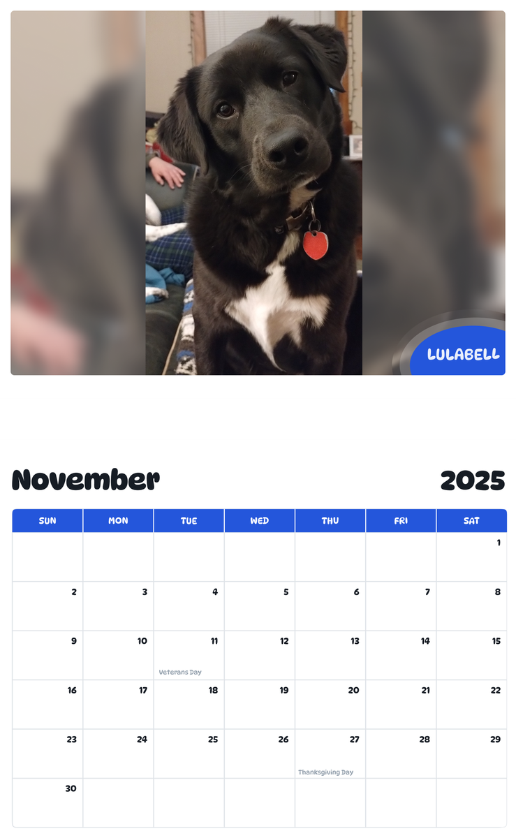 July 2025 - June 2026 Lulabell - Pawidols Pet Calendar