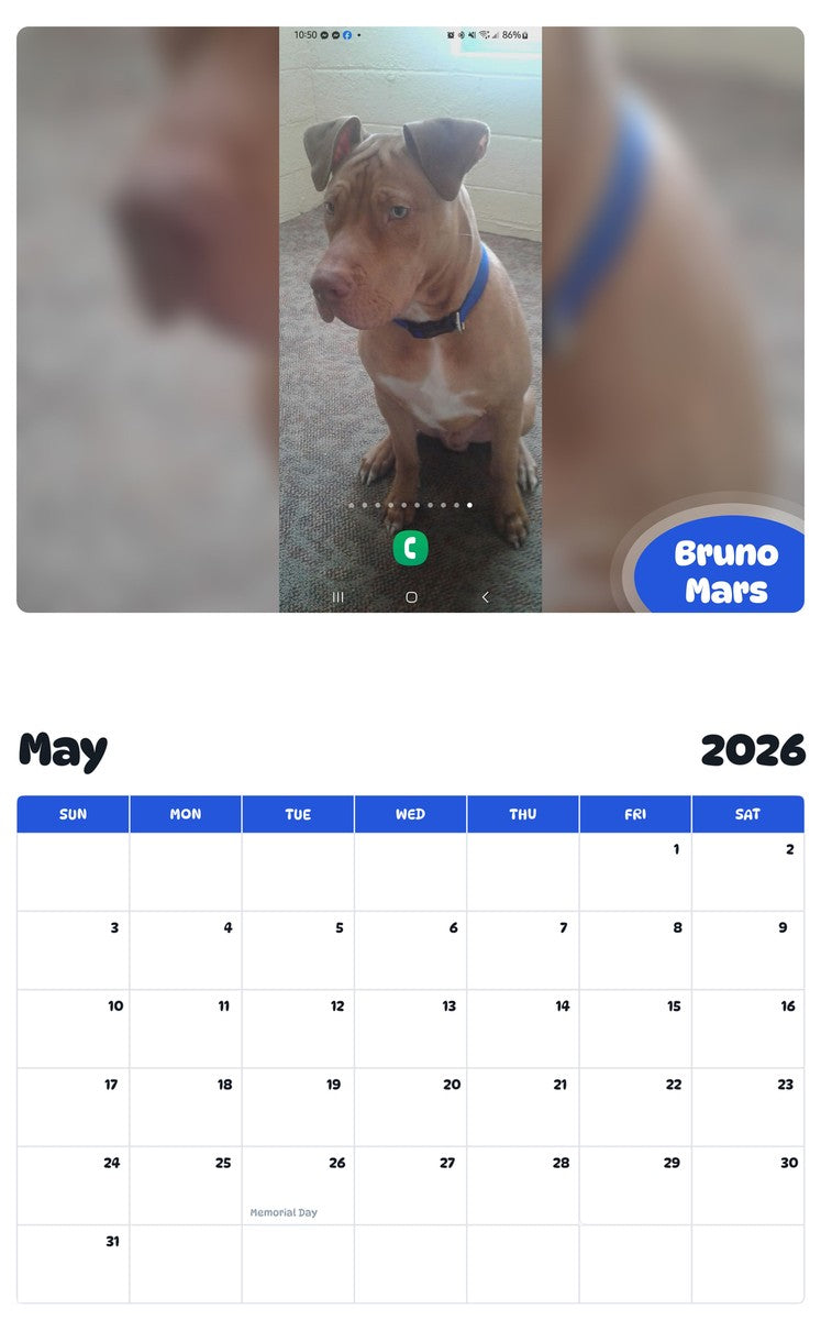 2026 - 2027 Bruno Mars - Pawidols Pet Calendar