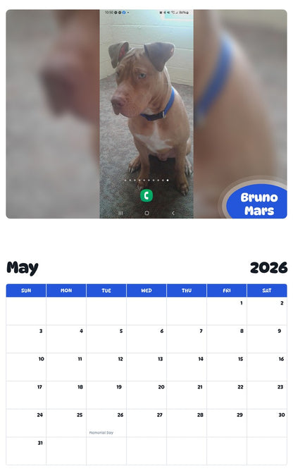 2026 - 2027 Bruno Mars - Pawidols Pet Calendar