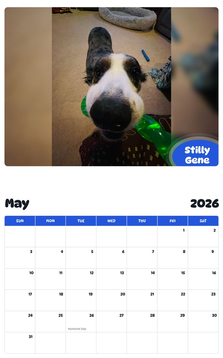 2026 - 2027 Stilly Gene - Pawidols Pet Calendar