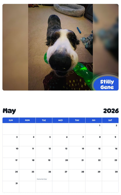 2026 - 2027 Stilly Gene - Pawidols Pet Calendar