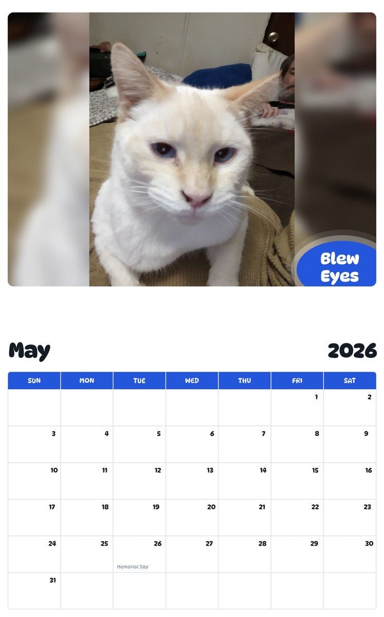 2026 - 2027 Blew Eyes - Pawidols Pet Calendar