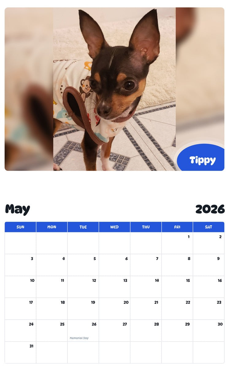 2026 - 2027 Tippy - Pawidols Pet Calendar