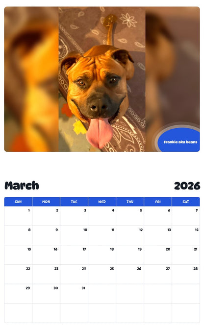 November 2025 - October 2026 Frankie aka beans - Pawidols Pet Calendar
