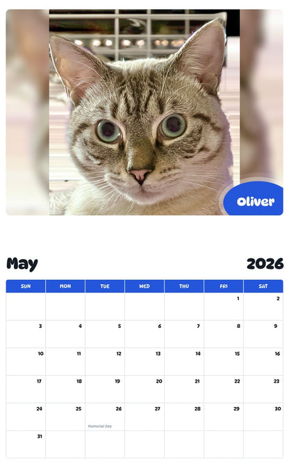 2026 - 2027 Oliver - Pawidols Pet Calendar