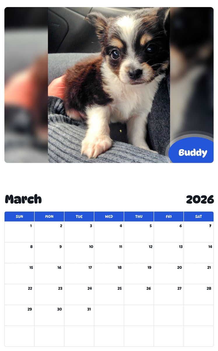 November 2025 - October 2026 Buddy - Pawidols Pet Calendar