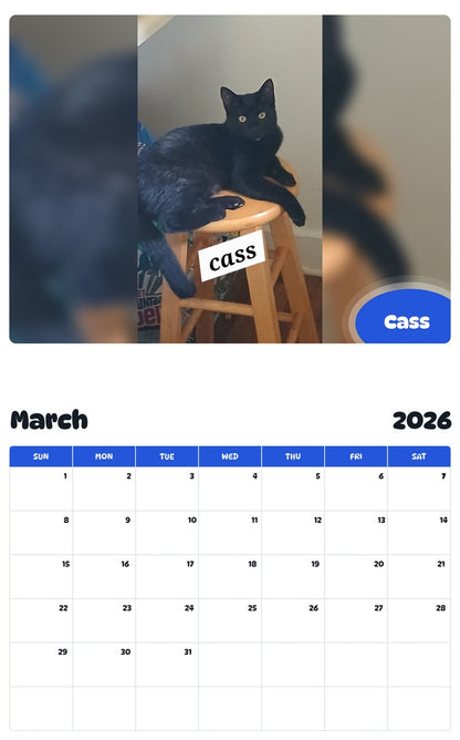 November 2025 - October 2026 Cass - Pawidols Pet Calendar