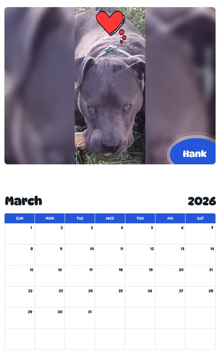 November 2025 - October 2026 Hank - Pawidols Pet Calendar
