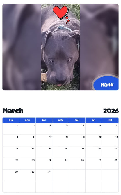 November 2025 - October 2026 Hank - Pawidols Pet Calendar