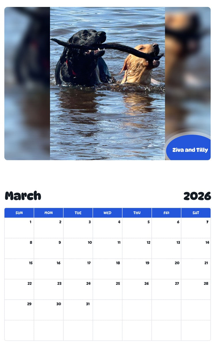 November 2025 - October 2026 Ziva and Tilly - Pawidols Pet Calendar