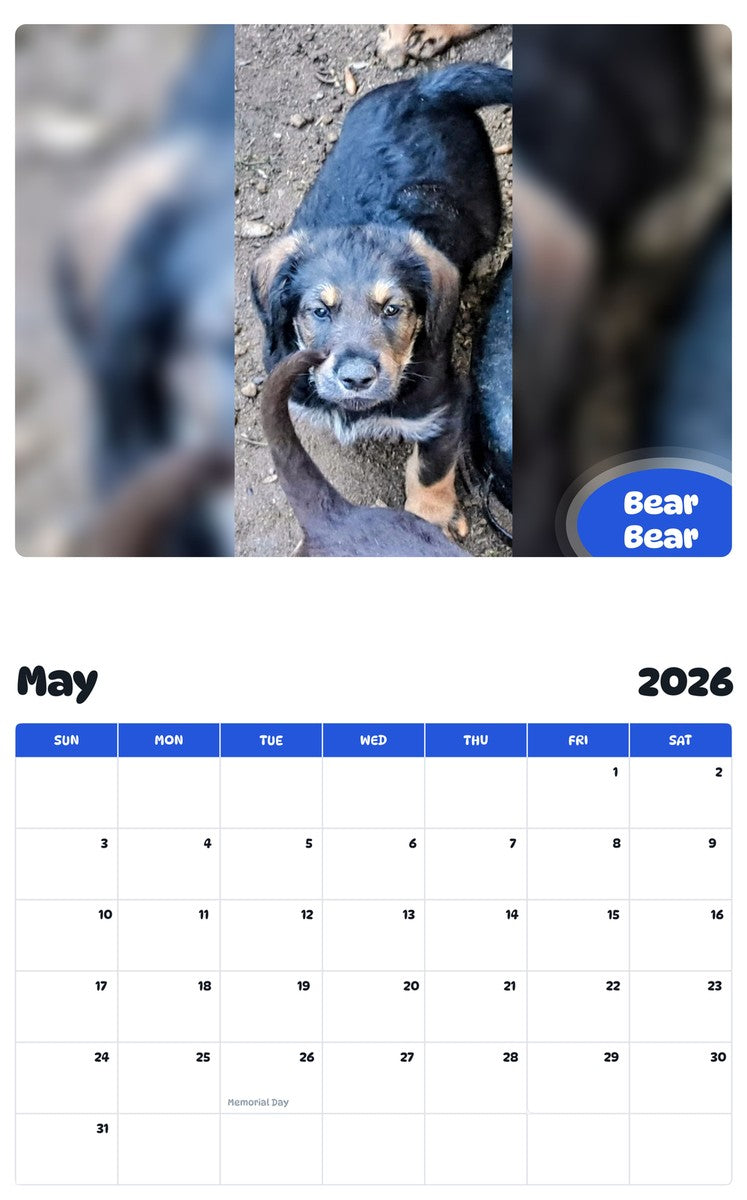 2026 - 2027 Bear Bear - Pawidols Pet Calendar