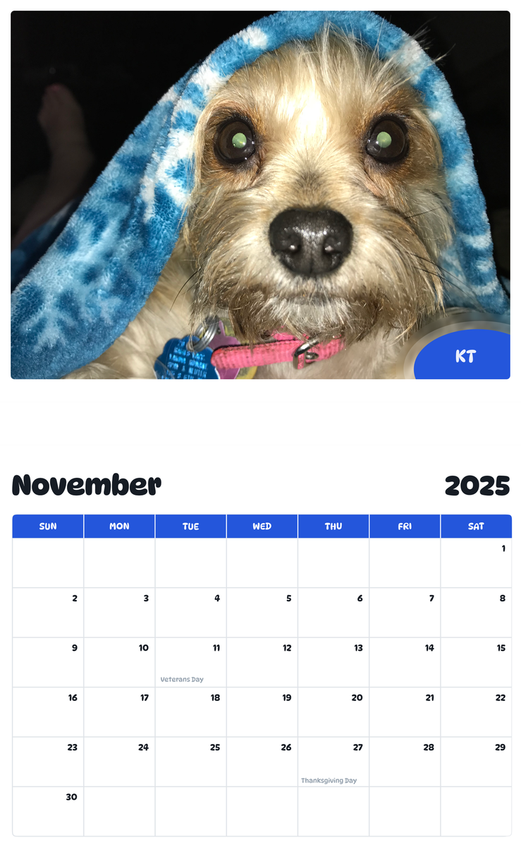 July 2025 - June 2026 KT - Pawidols Pet Calendar