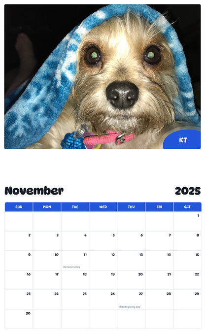 July 2025 - June 2026 KT - Pawidols Pet Calendar