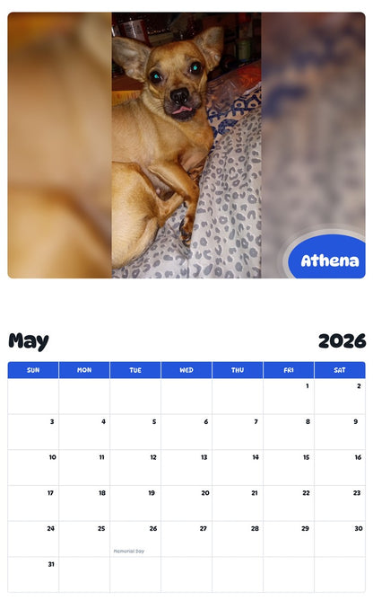 2026 - 2027 Athena - Pawidols Pet Calendar