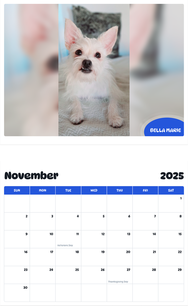 July 2025 - June 2026 BELLA MARIE - Pawidols Pet Calendar